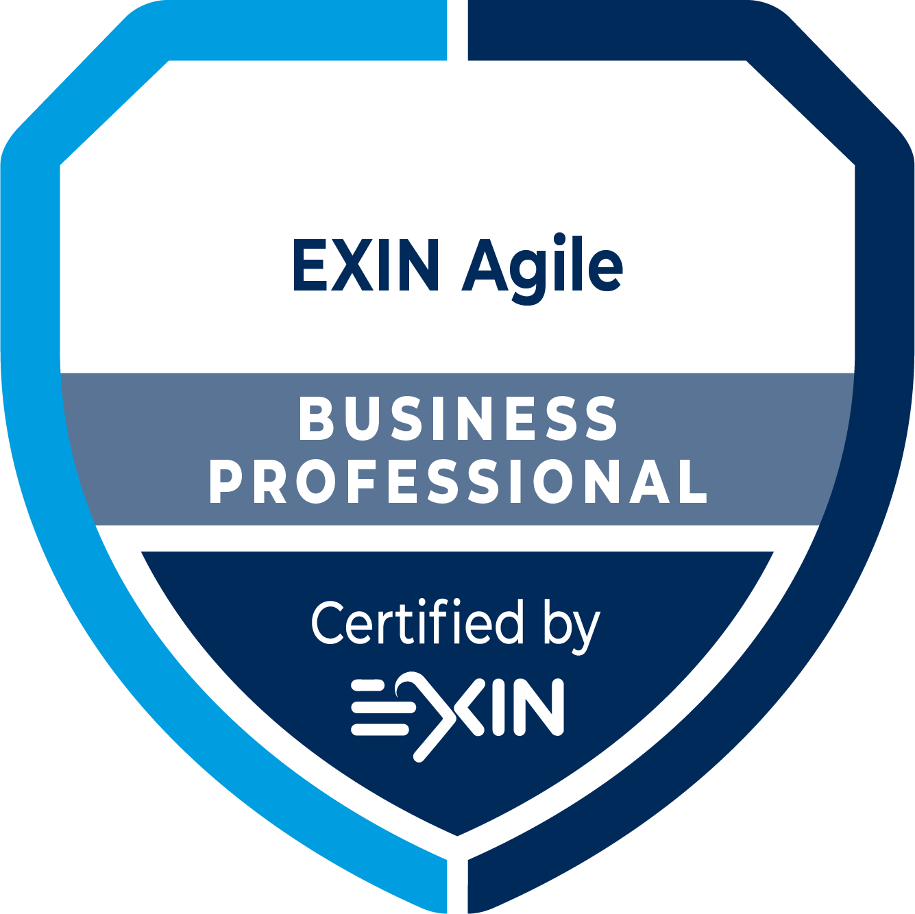 Agile Business